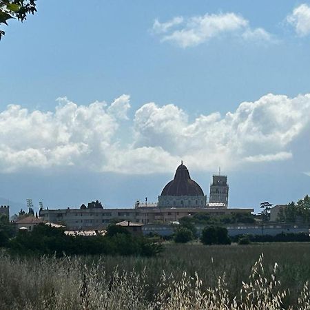 Nido Del Parco, Delizioso Bilocale A Pisa Appartamento Esterno foto